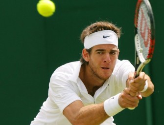 Gasquet und del Potro im Finale von Stuttgart