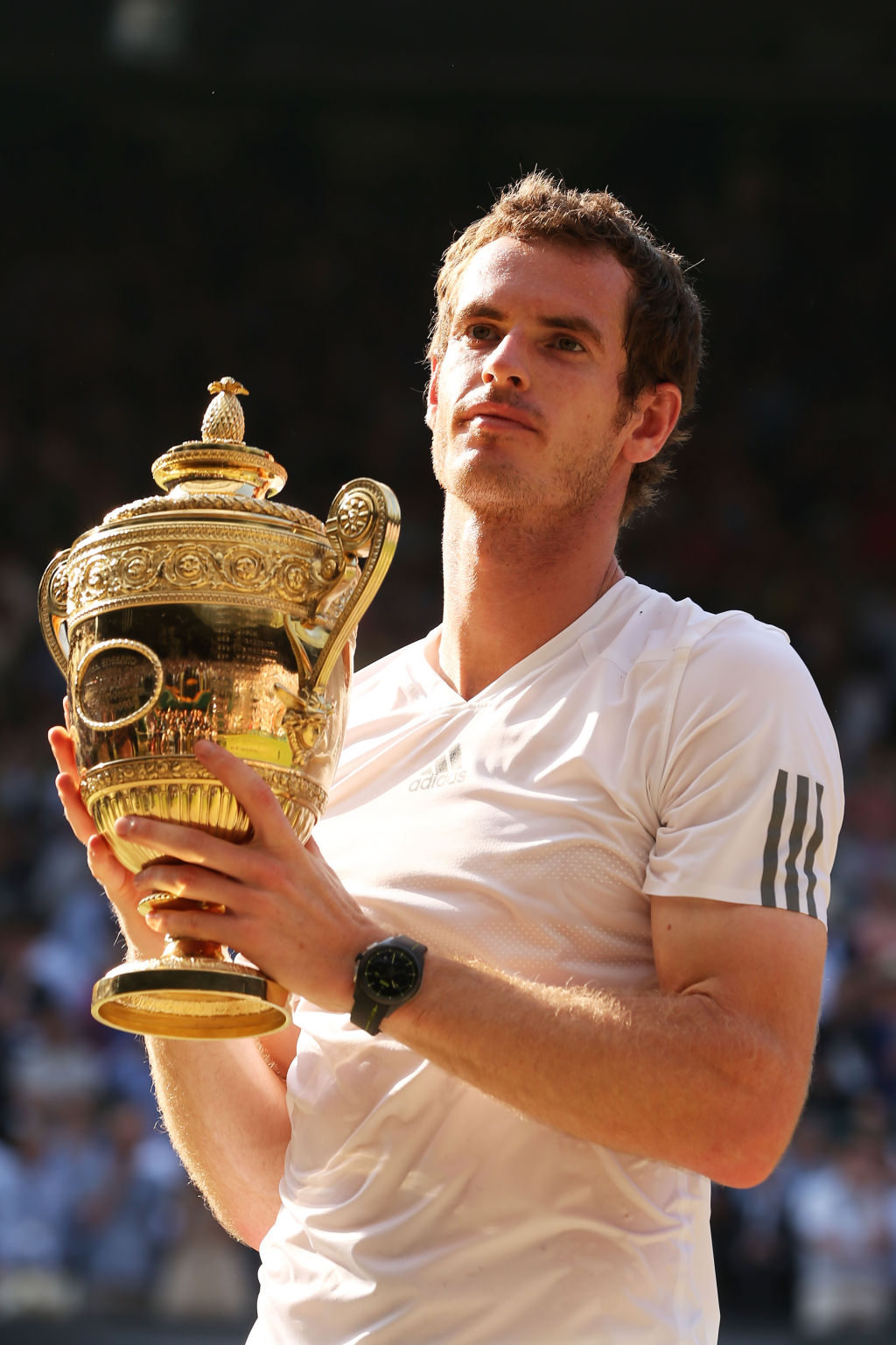 Andy Murray nach seinem Wimbledon-Erfolg 2013.