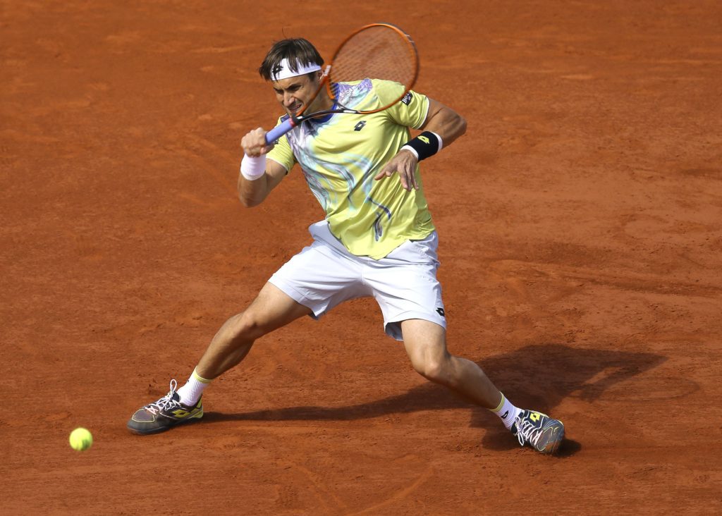 David Ferrer